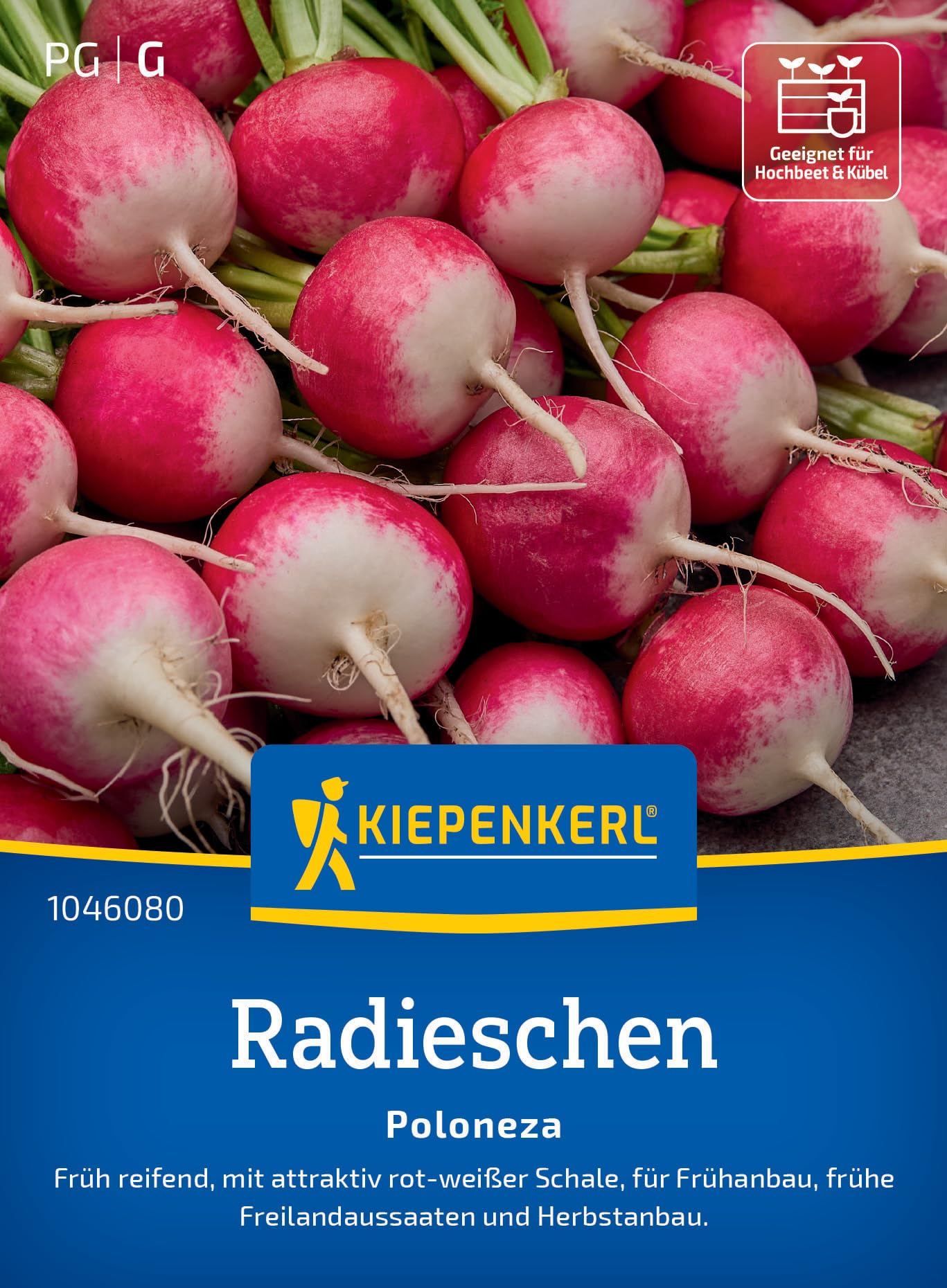 kiepenkerl-rettichsamen-rex-1048340-gem-sesaat image 8