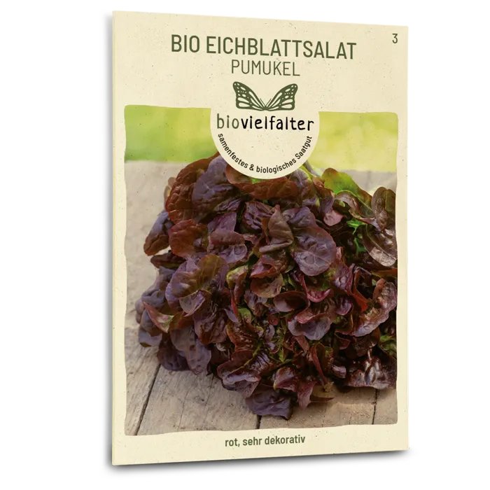 samen-maier-bio-eichblattsalat-pumukel-bio-salatsamen-gr-n image 1