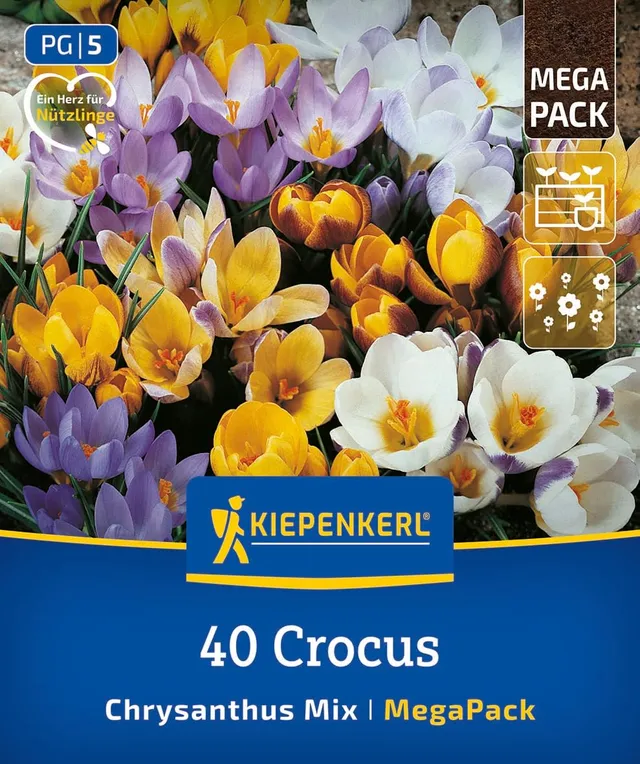 kiepenkerl-mega-pack-wildkrokus-mischung-blumenzwiebeln-gelb-wei-flieder-8-cm image 1