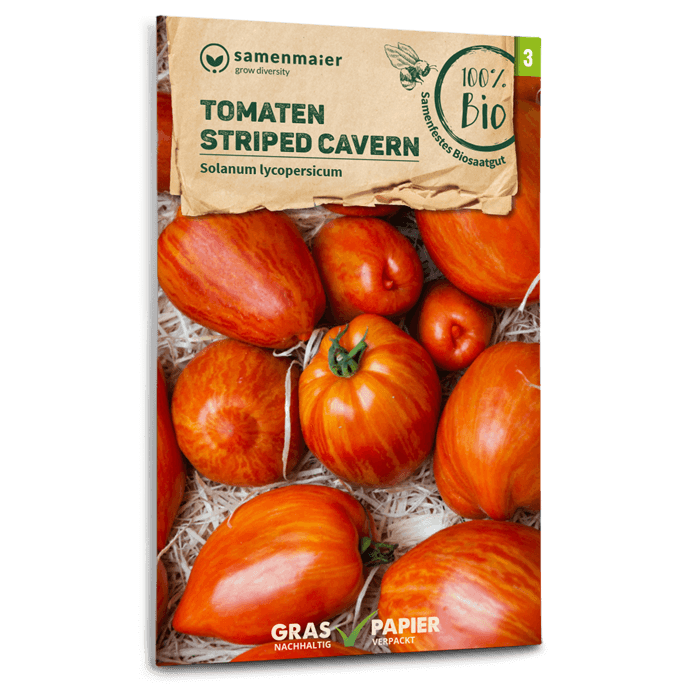 samen-maier-bio-tomaten-striped-cavern-stabtomaten-samen image 1
