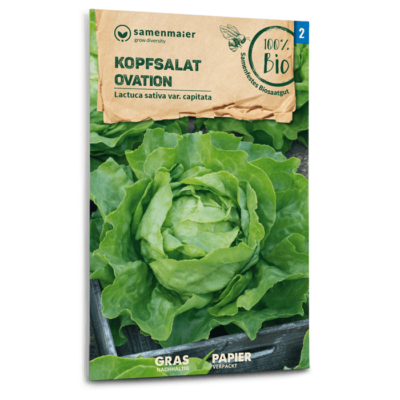 samen-maier-bio-kopfsalat-ovation-saatgut-2 image 4