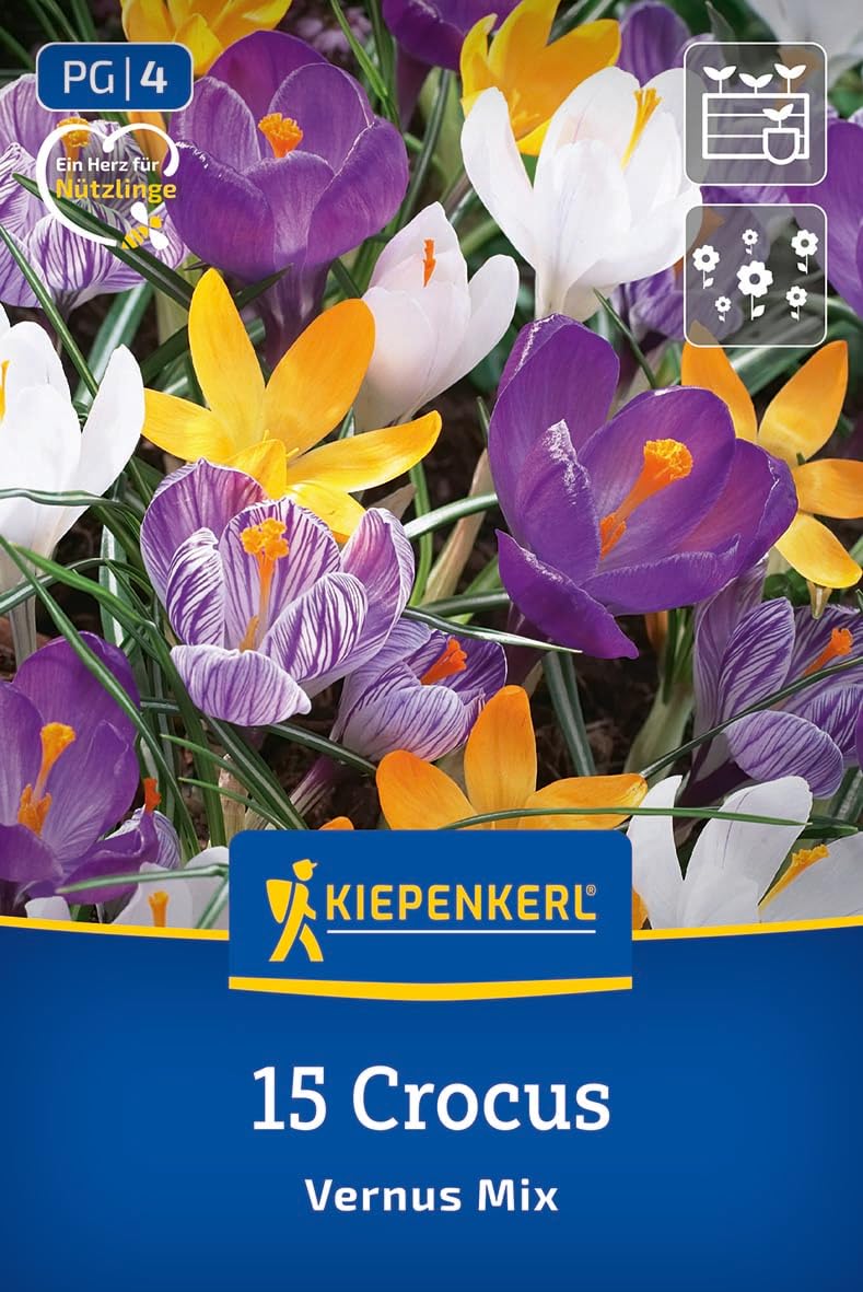 kiepenkerl-gro-blumiger-krokus-mischung-blumenzwiebeln-fr-hbl-her-mehrj-hrig-ver image 1