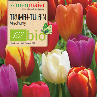 samen-maier-bio-triumph-tulpen-mischung-2-blumenzwiebeln image 2
