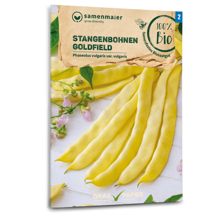 samen-maier-bio-stangenbohnen-goldfield-bohnensamen-gelb image 1