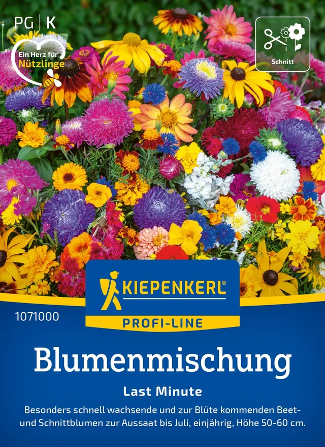 kiepenkerl-sommerblumen-mischung-last-minute-blumensamen image 1