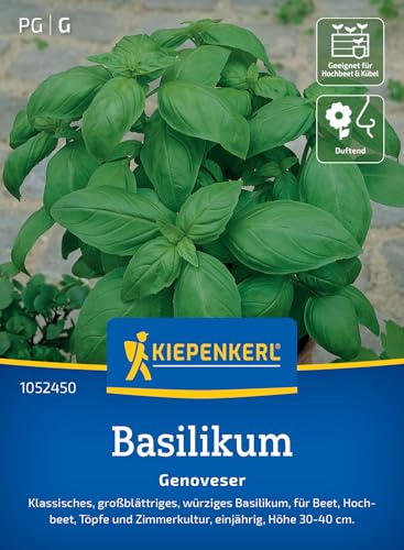 kiepenkerl-basilikum-genoveser-1052450-kr-utersamen image 7