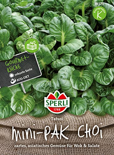 sperli-premium-pak-choi-samen-81173-mini-asia-gem-se image 5