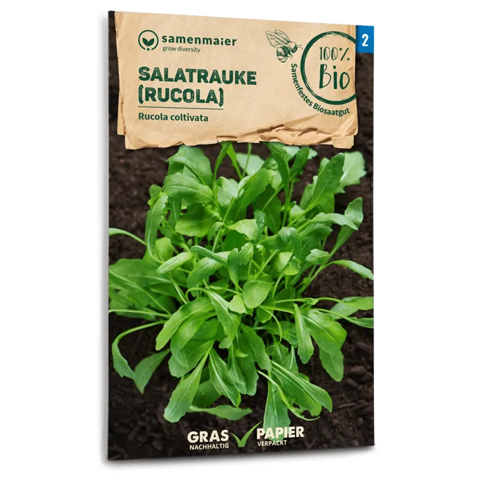 samen-maier-bio-salatrauke-rucola-kr-utersaatgut image 1