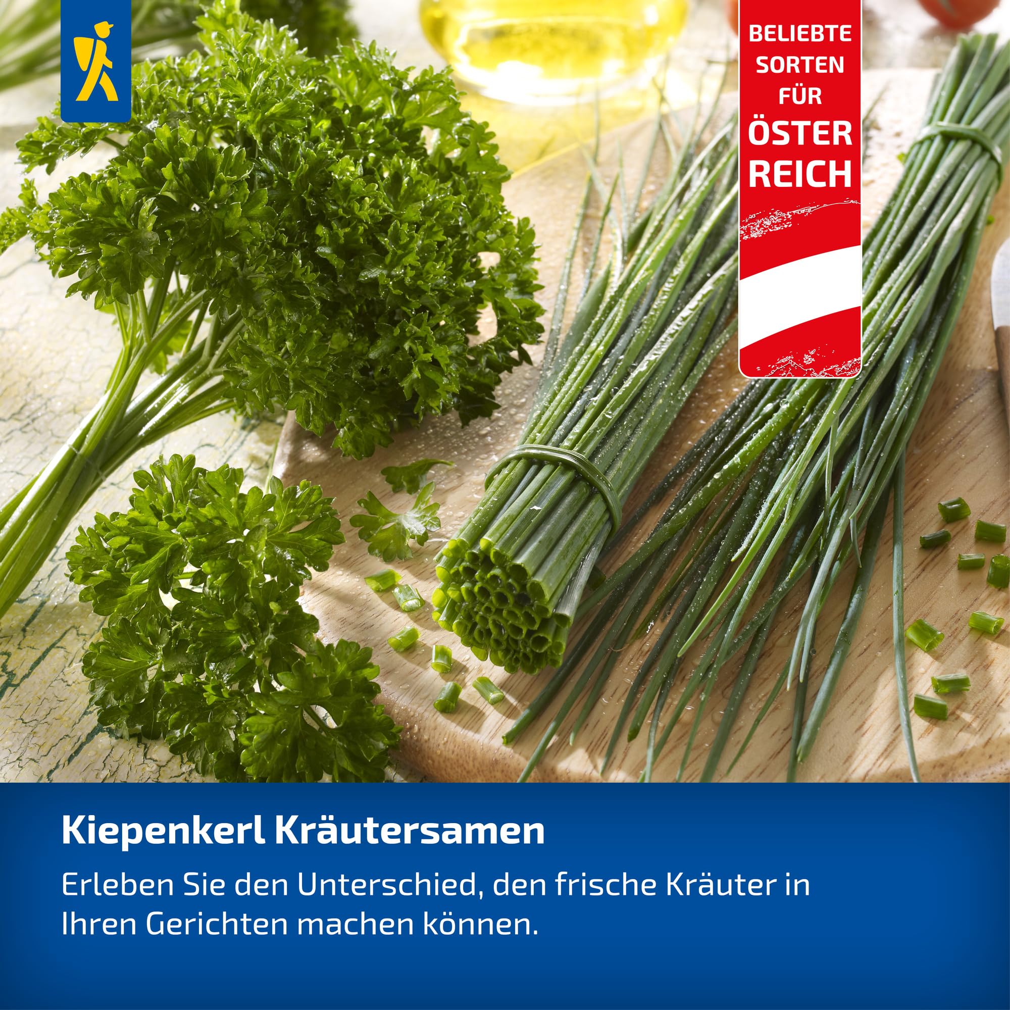 kiepenkerl-dillsamen-dinos-1076740-kr-utersaat image 5