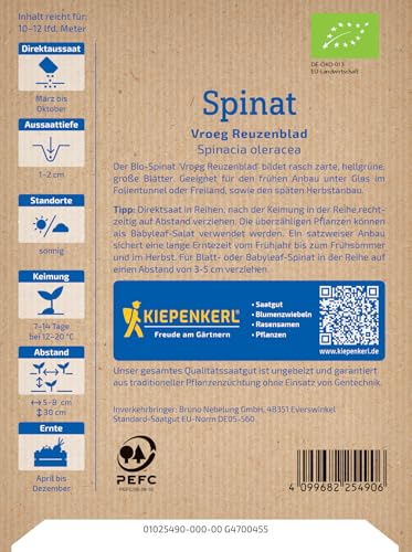 kiepenkerl-spinatsamen-vroeg-reuzenblad-gem-sesaat image 8