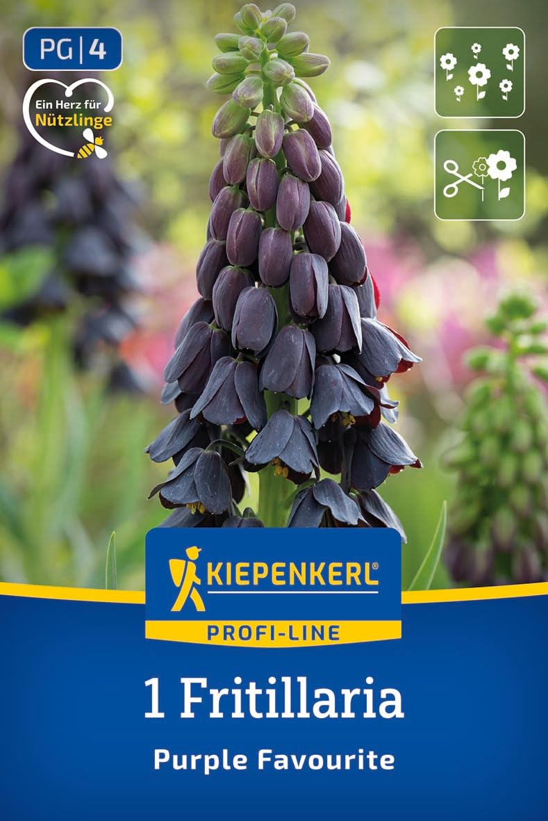 kiepenkerl-profi-line-persische-kaiserkrone-purple-favourite-fritillaria-80-100- image 1