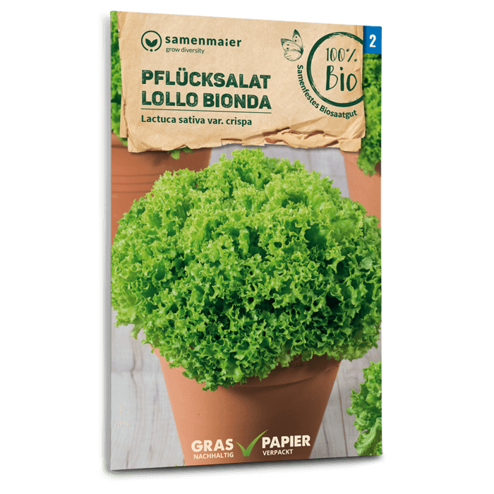 samen-maier-bio-pfl-cksalat-lollo-bionda-salatsamen image 1