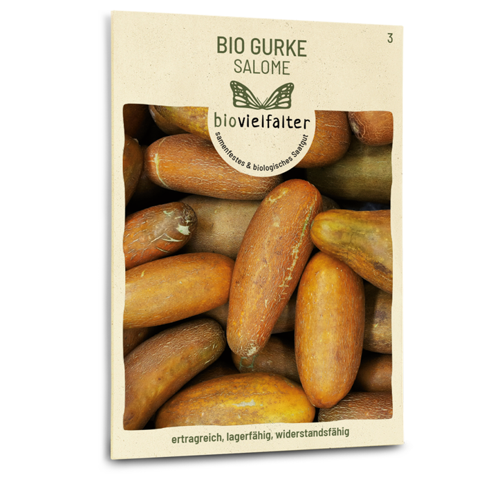 samen-maier-bio-gurke-salome-saatgut-freiland-gew-chshaus image 1