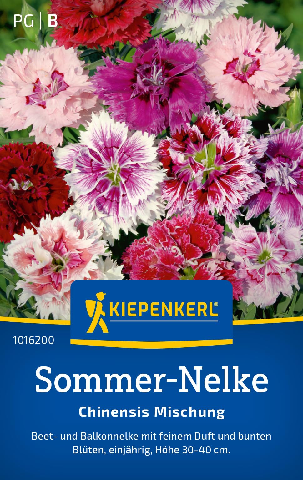 kiepenkerl-russel-lupinen-mischung-blumensamen-f-r-20-pflanzen image 7