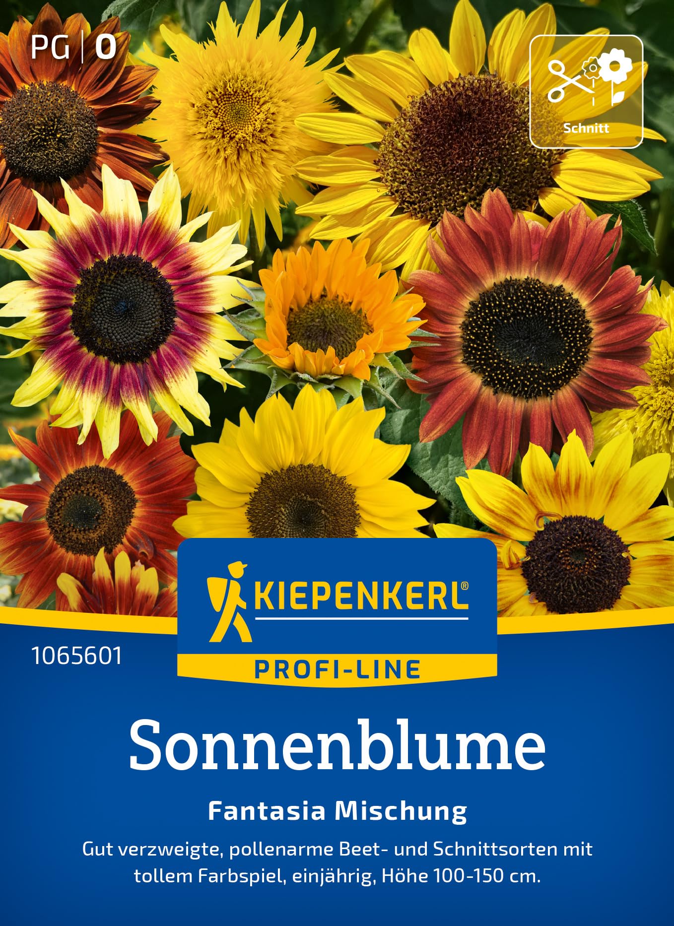 kiepenkerl-blumenmischung-peters-farbexplosion-sommerblumensaat image 7