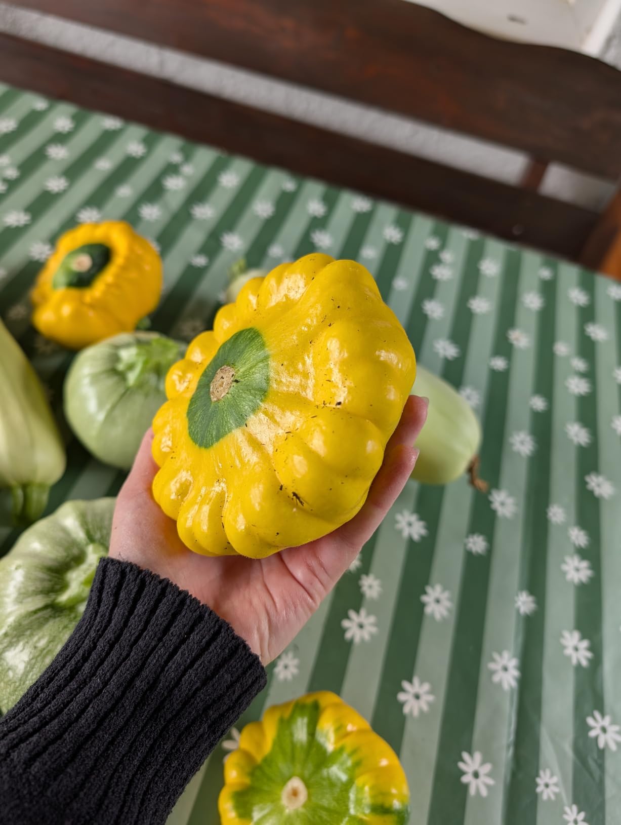 Endlich gelbe Zucchini