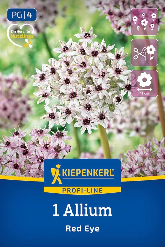 kiepenkerl-profi-line-zierlauch-red-eye-2700004-blumenzwiebeln image 1