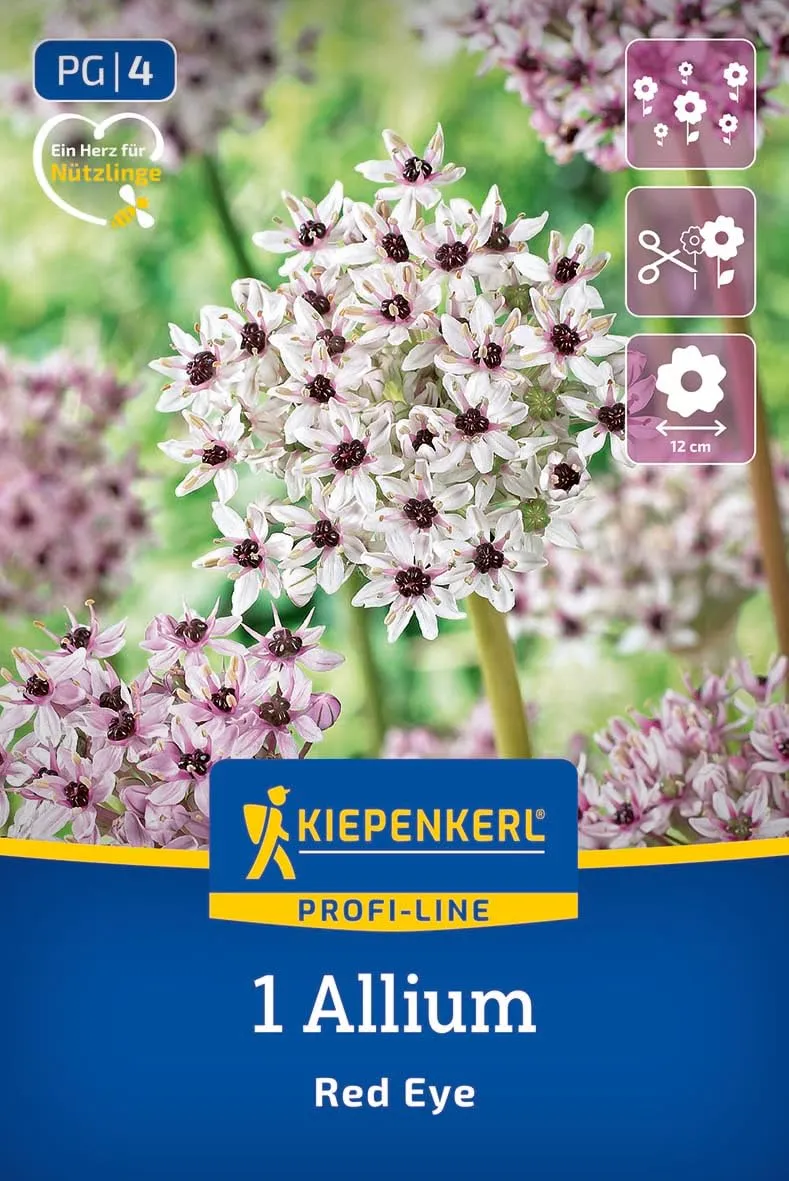 kiepenkerl-profi-line-zierlauch-red-eye-2700004-blumenzwiebeln image 1