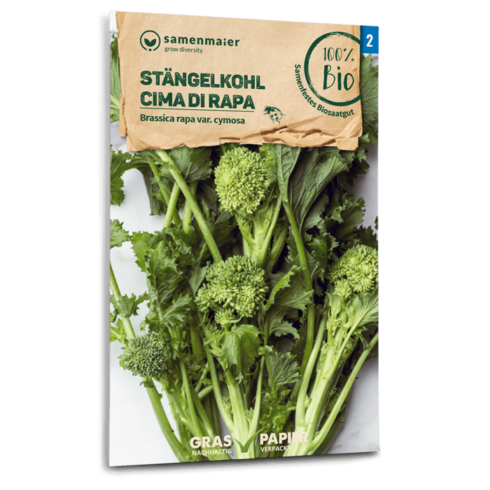 samen-maier-bio-st-ngelfohl-cima-di-rapa-gem-sesamen image 1