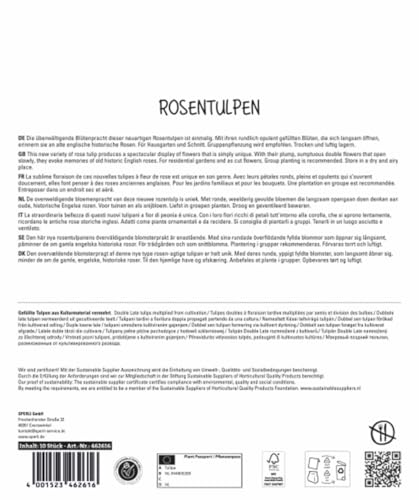 sperli-maxi-tulpen-rosentulpen-mischung-blumenzwiebeln-gef-llt-rosa-rot-50-cm image 8