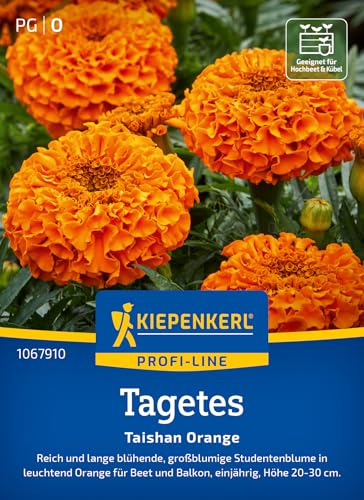 kiepenkerl-profi-line-tagetessamen-taishan-orange-studentenblume-blumensaat image 6