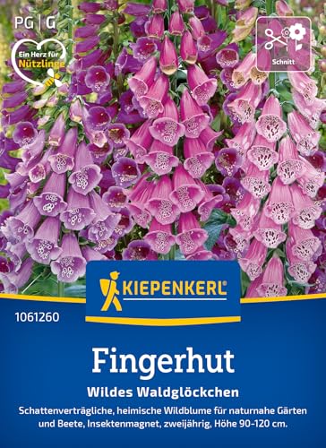 kiepenkerl-wildes-waldgl-ckchen-fingerhut-blumensamen image 6