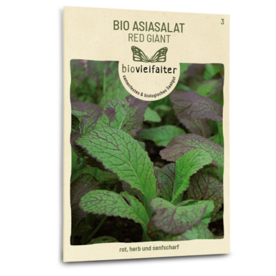 samen-maier-bio-asia-salat-red-giant-salatsamen image 3