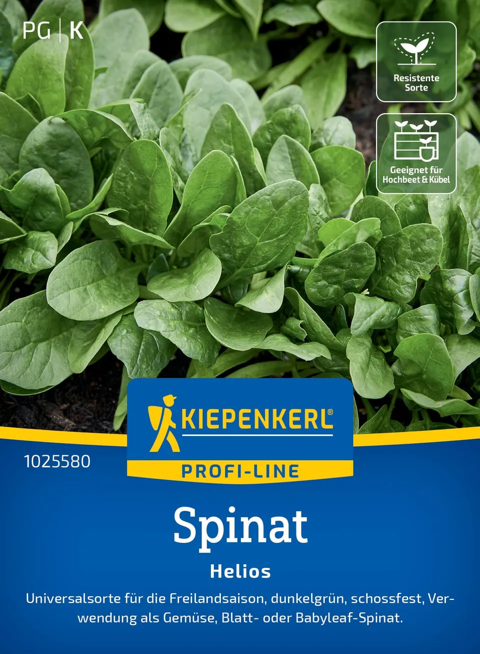 kiepenkerl-spinat-helios-gem-sesaat image 1