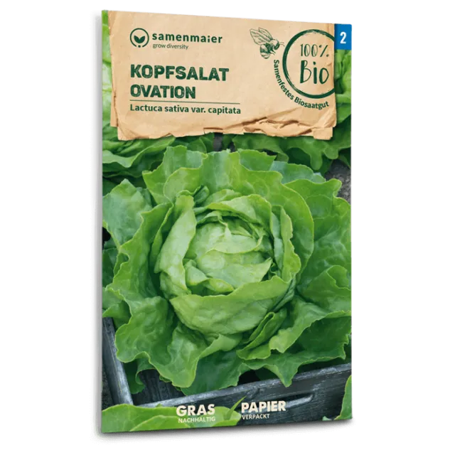 samen-maier-bio-kopfsalat-ovation-saatgut-2 image 1