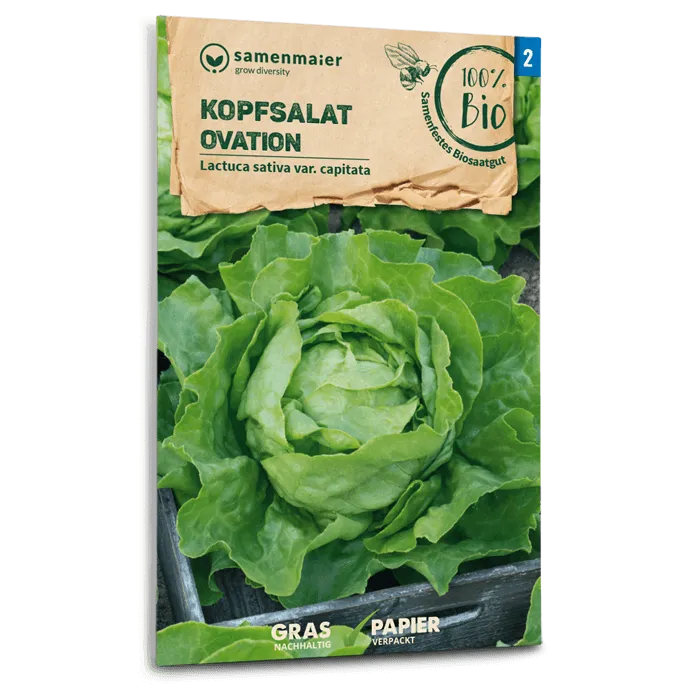 samen-maier-bio-kopfsalat-ovation-saatgut-2 image 1