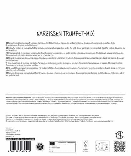 sperli-maxi-trompeten-narzissen-mischung-462418-blumenzwiebeln image 8
