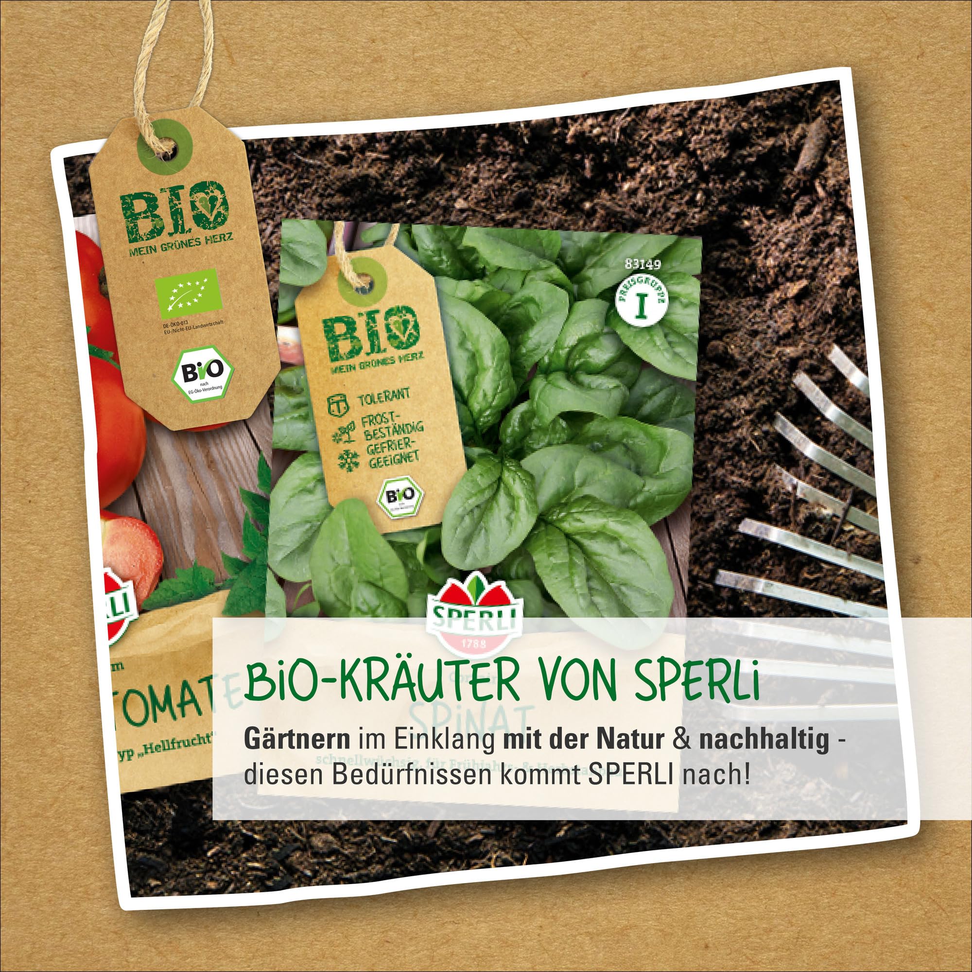 sperli-bio-salbei-84584-kr-utersaat image 5