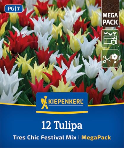 kiepenkerl-mega-pack-lilienbl-tige-tulpen-tres-chic-mix-blumenzwiebeln image 6