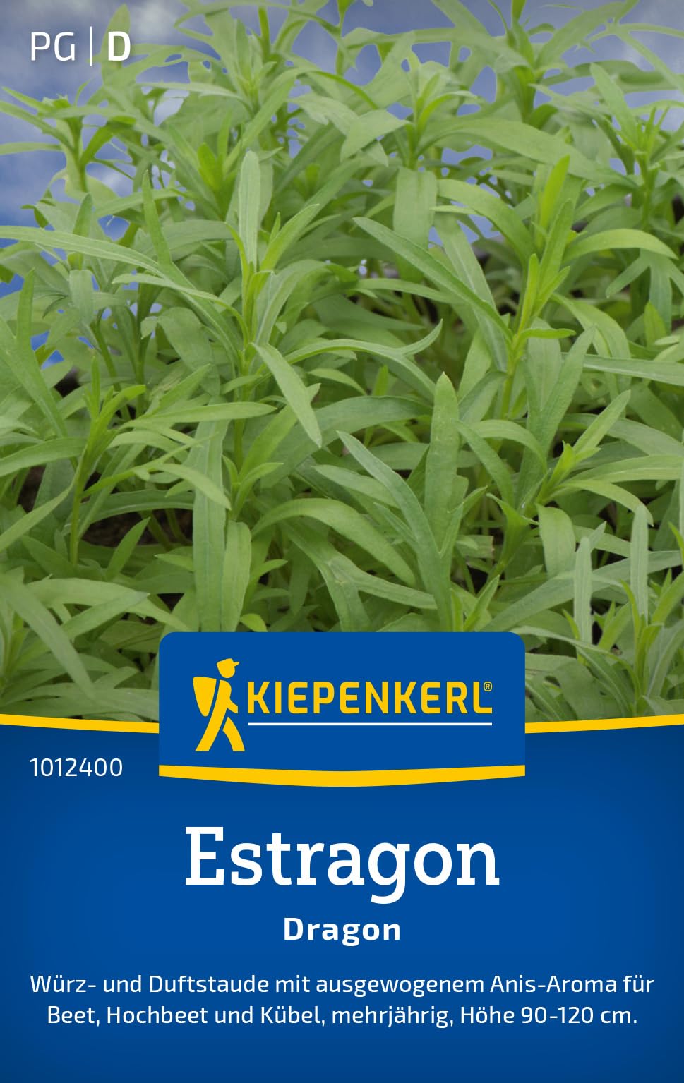 kiepenkerl-oreganosamen-dost-1013000-kr-utersaat image 7