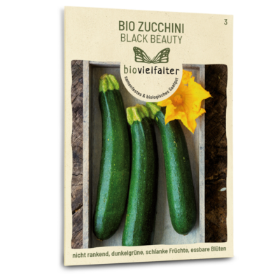 samen-maier-bio-zucchini-black-beauty-gem-sesaatgut image 3