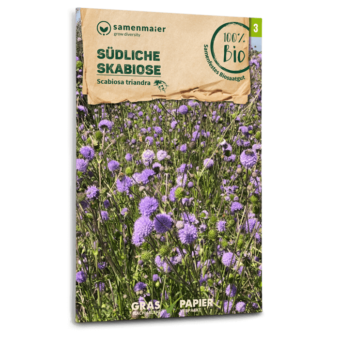 samen-maier-bio-wildblumen-s-dliche-skabiose-saatgut-40-80-cm image 1