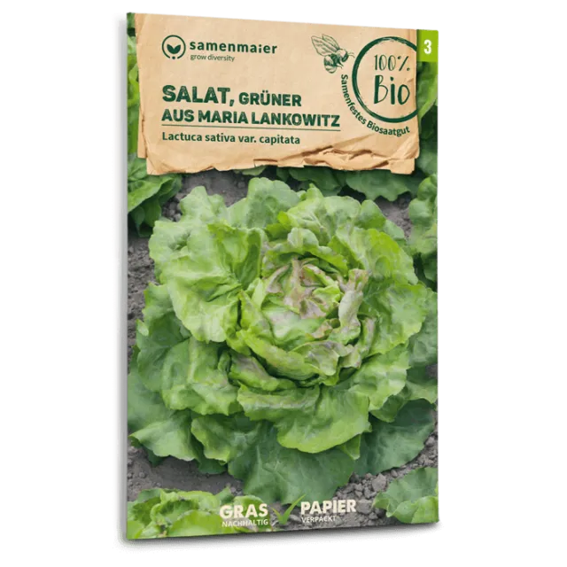 samen-maier-bio-salat-gr-ner-aus-maria-lankowitz-kopfsalat-samen image 1