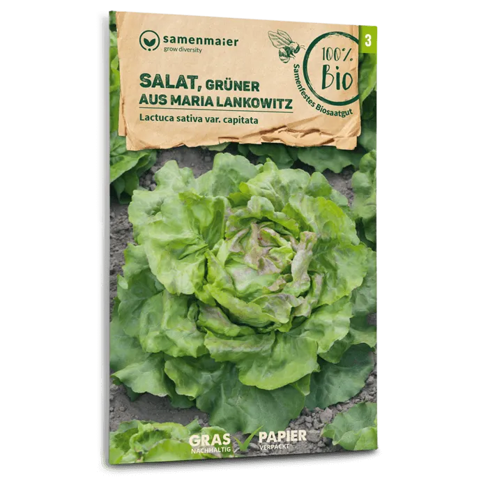 samen-maier-bio-salat-gr-ner-aus-maria-lankowitz-kopfsalat-samen image 1