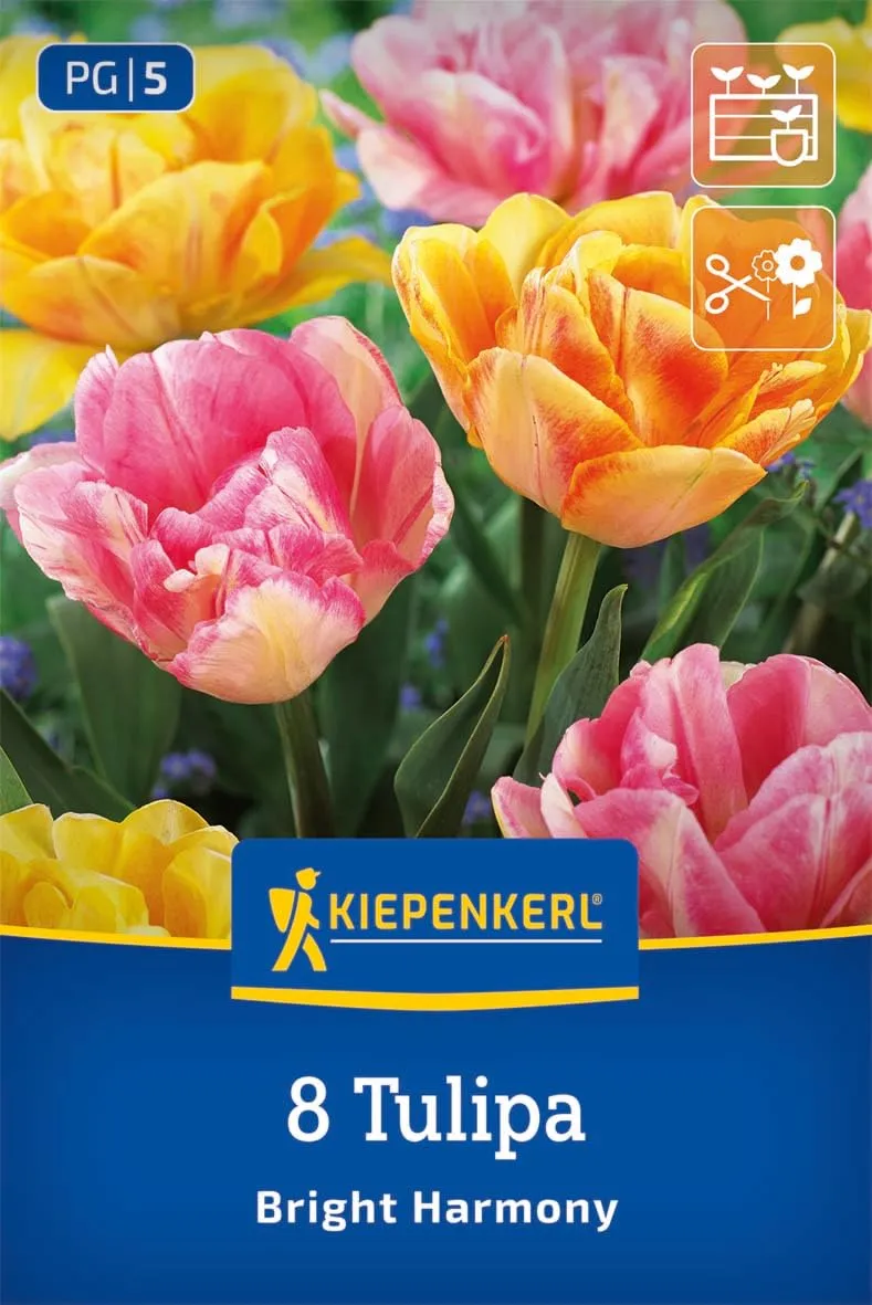 kiepenkerl-tulpenmischung-bright-harmony-blumenzwiebeln image 1