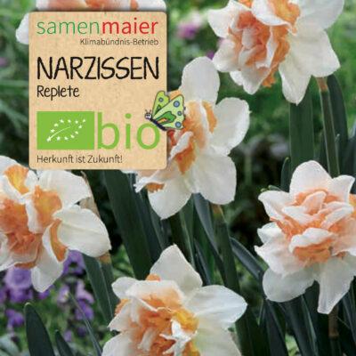 samen-maier-bio-narzissen-replete-blumenzwiebeln image 2