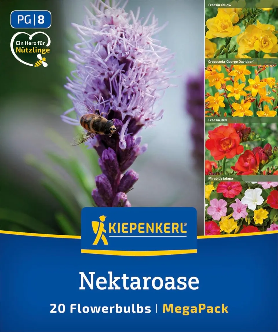 kiepenkerl-mega-pack-blumenzwiebelmischung-nektaroase-bienenmix-juli-oktober image 1