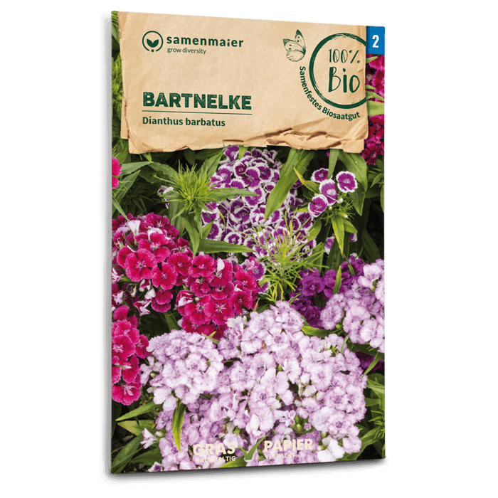 samen-maier-bio-bartnelke-saatgut-40-60-cm image 1