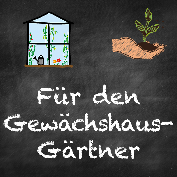 samen-maier-beet-box-f-r-den-gew-chshaus-g-rtner-5-sorten image 7