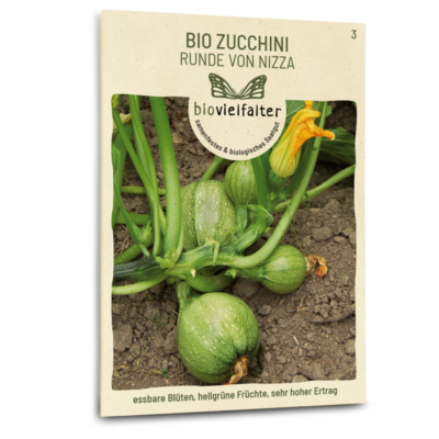 samen-maier-bio-zucchini-runde-von-nizza-kugel-saatgut image 3