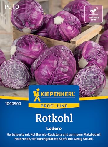 kiepenkerl-profi-line-rotkohlsamen-lodero-gem-sesaat image 8