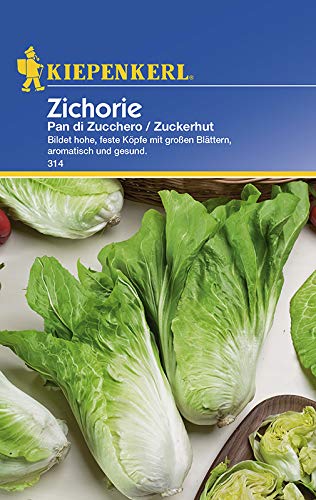 kiepenkerl-314-zichorie-zuckerhut-chicor-esamen image 1