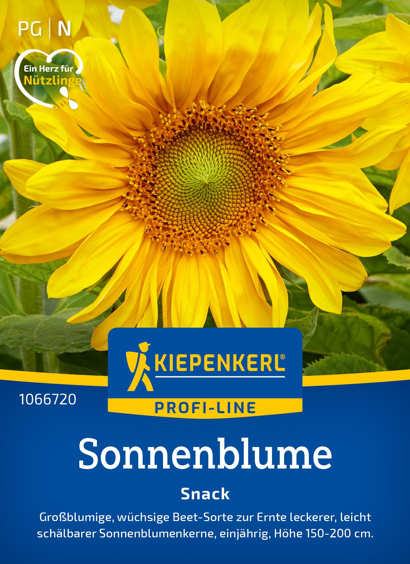 kiepenkerl-sonnenblumensamen-procut-white-nite-blumensaat image 8