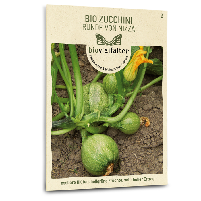 samen-maier-bio-zucchini-runde-von-nizza-kugel-saatgut image 1