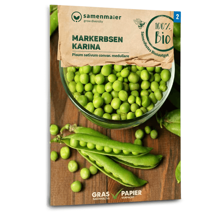 samen-maier-bio-markerbsen-karina-saatgut image 1