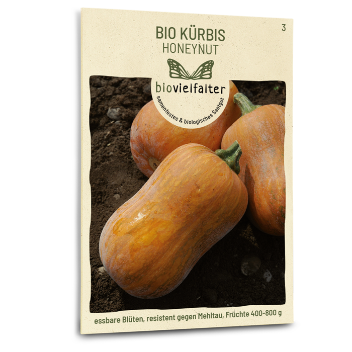 samen-maier-bio-k-rbis-honeynut-butternut-samen image 1